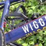 Wiggins bike Image 6