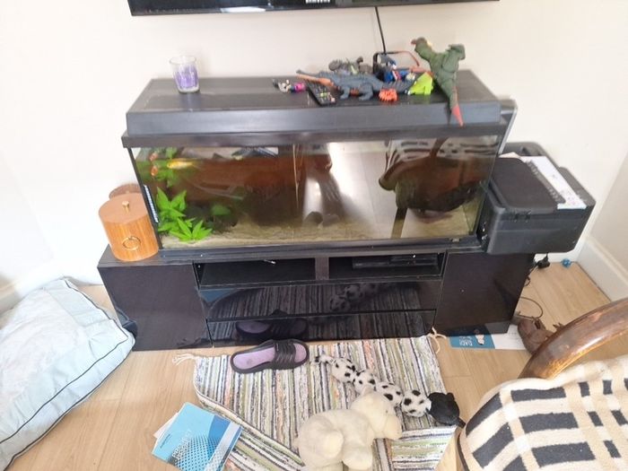 fish tank and unit