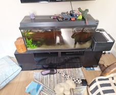 fish tank and unit
