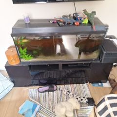 fish tank and unit