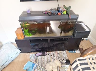 fish tank and unit