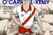 Ross O'Carroll-Kelly Book - Normal Steeple - Fiction - Perfect Gift