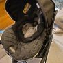 Chicco Urban Image 5