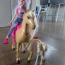 Barbie doll & 2 horses Image 4