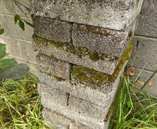 Cinder Blocks - Free