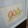 Original Watercolour Still Life - Three Pears - Framed Artist Artwork Image 2