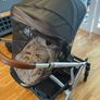 Uppababy Vista plus accessories Image 8