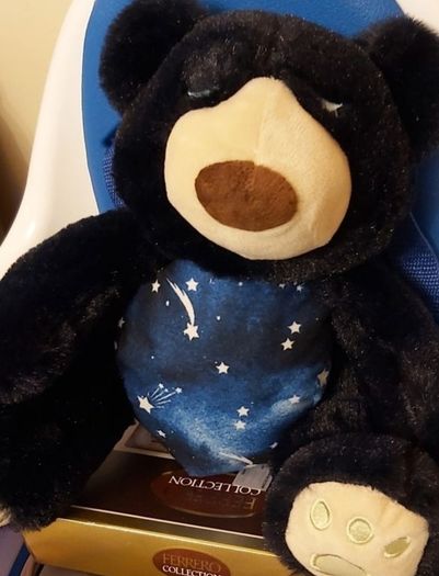 Night time Buddies (257)