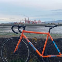 Cinelli Fixie