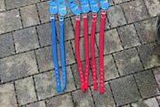 dog collars