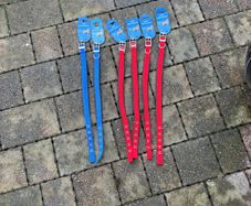 dog collars