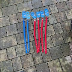 dog collars