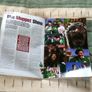 Ireland Vs Andorra Matchday Programme 2001 Image 4