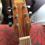Washburn Image 6
