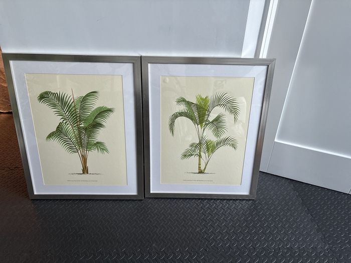 Framed prints
