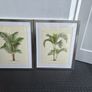 Framed prints Image 3