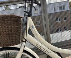 BSP city cycle bike