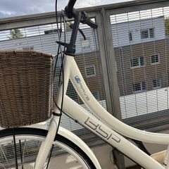 BSP city cycle bike