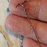 Links of London Sterling Silver Bracelet Image 6