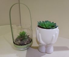 Artificial Succulent