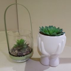 Artificial Succulent
