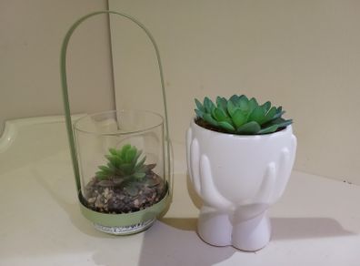 Artificial Succulent