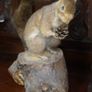 Large Vintage Taxidermy Grey Squirrel Image 2