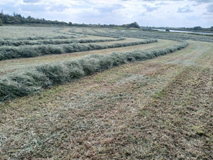 Hay Bales