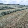 Hay Bales Image 4