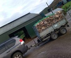 Hardwood firewood
