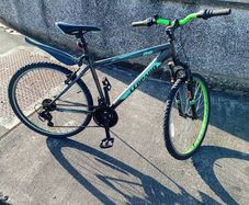 Adults bike
