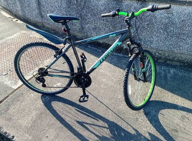 Adults bike