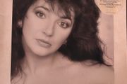 Kate Bush - The Whole Story. Greatest hits compilation. German 1st pressing in gatefold sleeve. With a promo and a hype sticker on the front. Exceptionally good condition. Bargain!