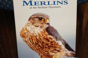 Merlins of the Wicklow Mountains