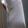 Martini Glasses Image 2