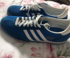 Adidas dragon trainers