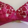 Bra Image 2
