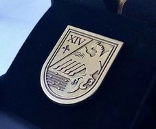 Destiny 2 - Saviour seal pin. Rare and Retired