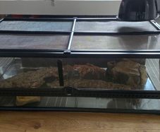 ExoTerra Reptile Terrarium