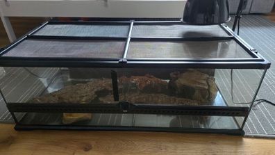 ExoTerra Reptile Terrarium