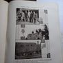 the voice of ireland book Image 4