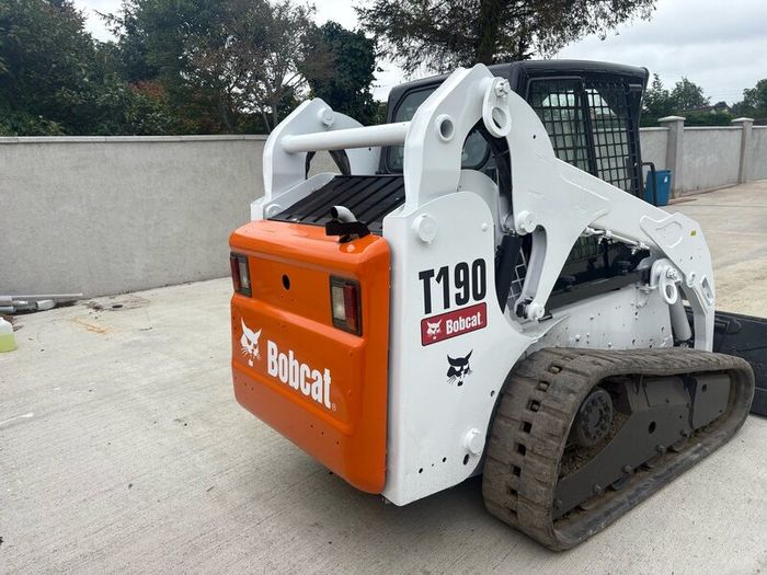 Bobcat