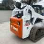 Bobcat Image 4