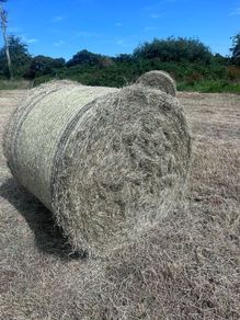 Bales of Rush hay bedding