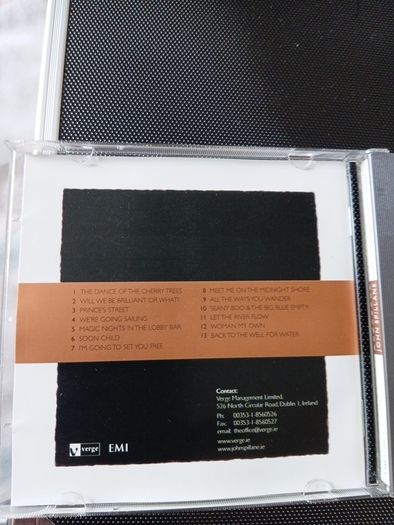 Will we be brilliant or what CD album John Spillane
