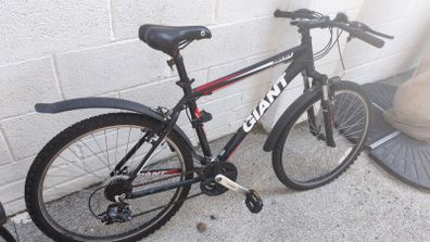 Giant Boulder Mountain Bike