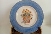 Sarahs Garden, Tagetes Patula, Wedgewood