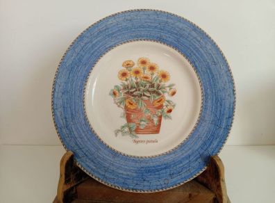 Sarahs Garden, Tagetes Patula, Wedgewood
