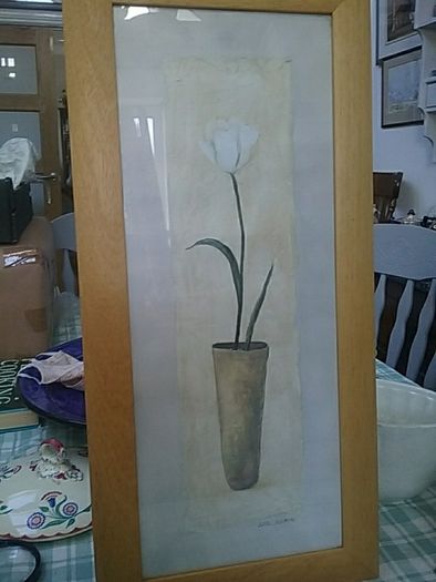 Framed Print