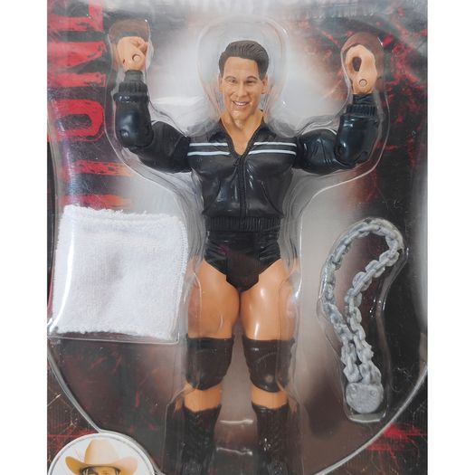 WWE Classic Superstars Series Action Figures